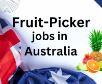 Fruit-picker jobs in Australia